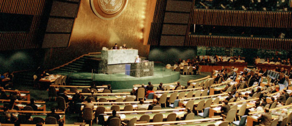 NPT in the UN